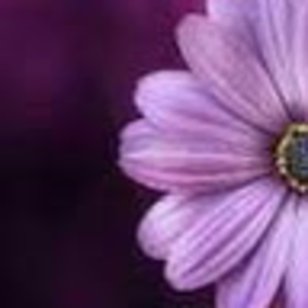 Meet your Posher, Kaylee